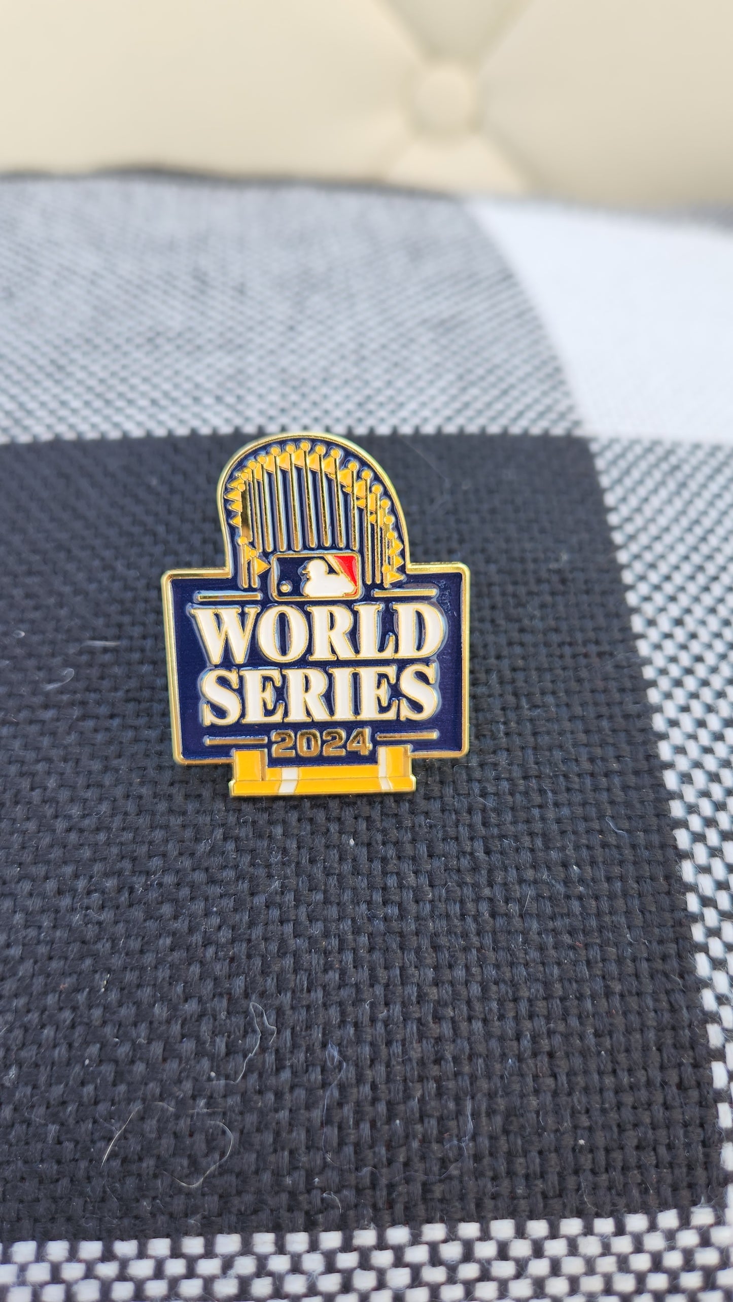 2024 World Series Champ